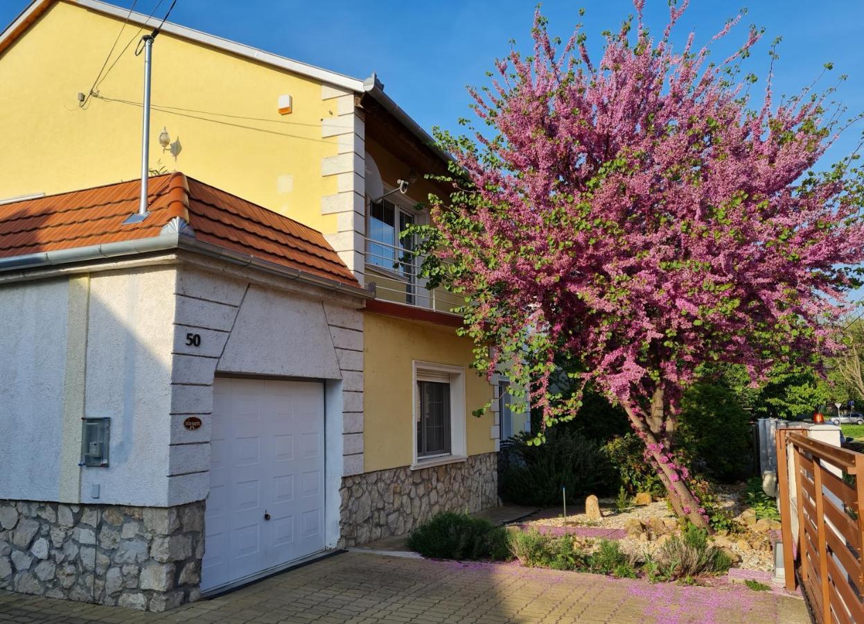 Ginger House Apartment ケストヘイ エクステリア 写真